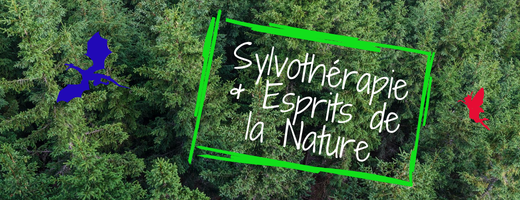 Atelier "Sylvothérapie et Esprits de la Nature"