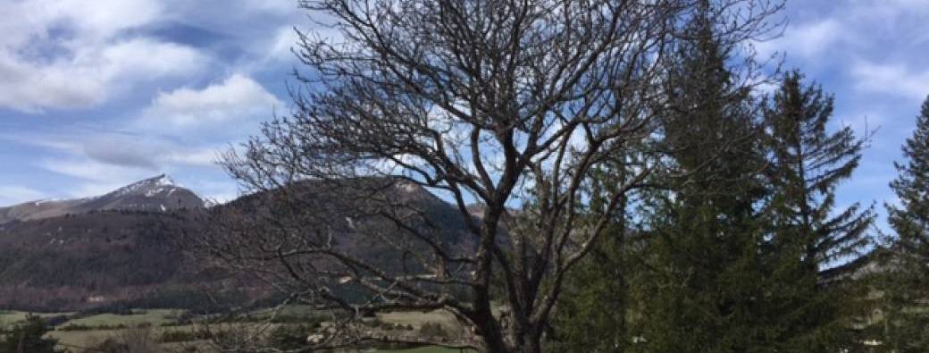 Atelier taille paysanne