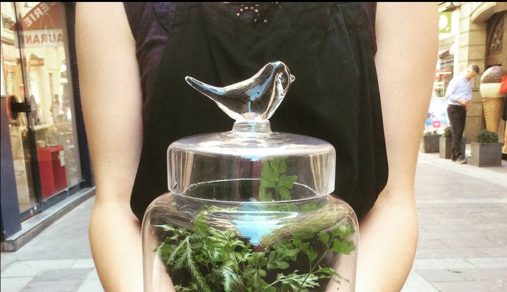 ATELIER TERRARIUM 