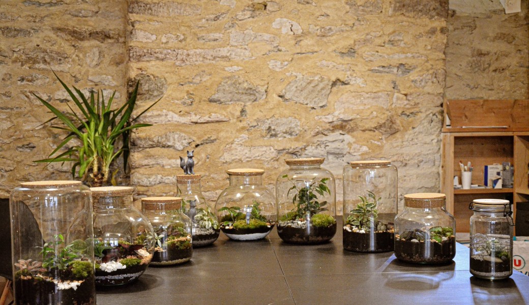Atelier Terrarium
