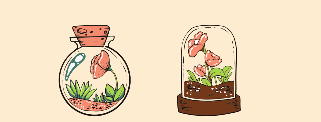 Carte cadeau : Atelier Terrarium 
