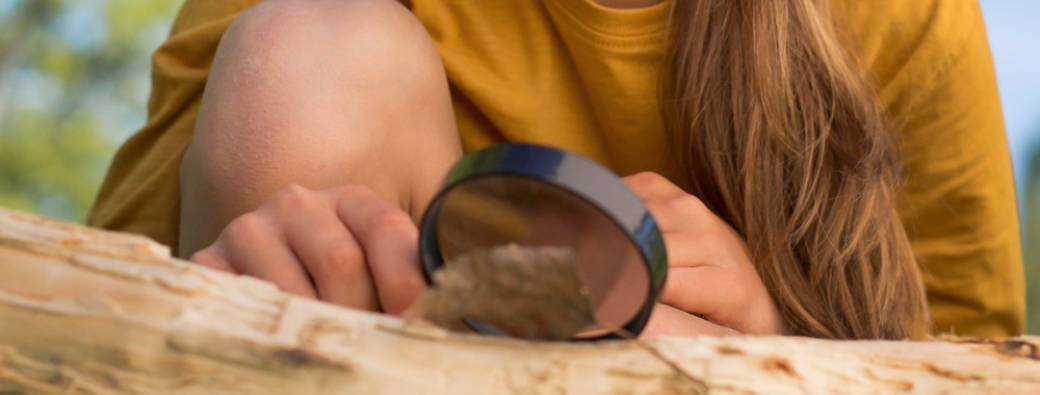 Atelier : Touchons du bois !