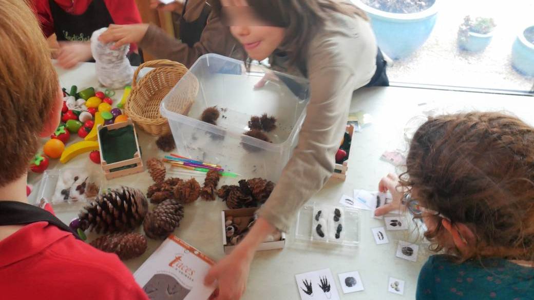 Atelier Traces d'animaux sauvages 4-10 ans (Tournefeuille)