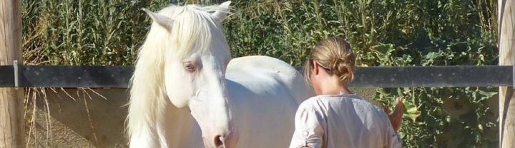 Atelier Univers subtil des chevaux et de la relation humain-cheval
