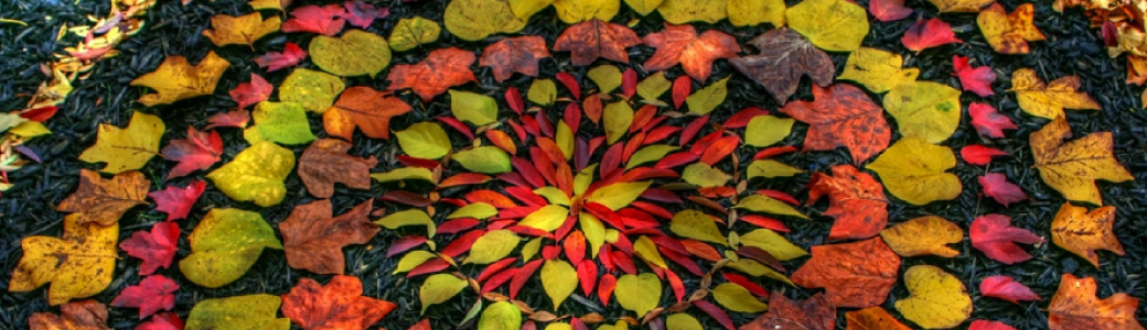 Atelier vacances : Land Art