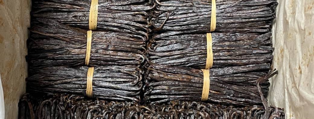 Atelier Vanille glacée