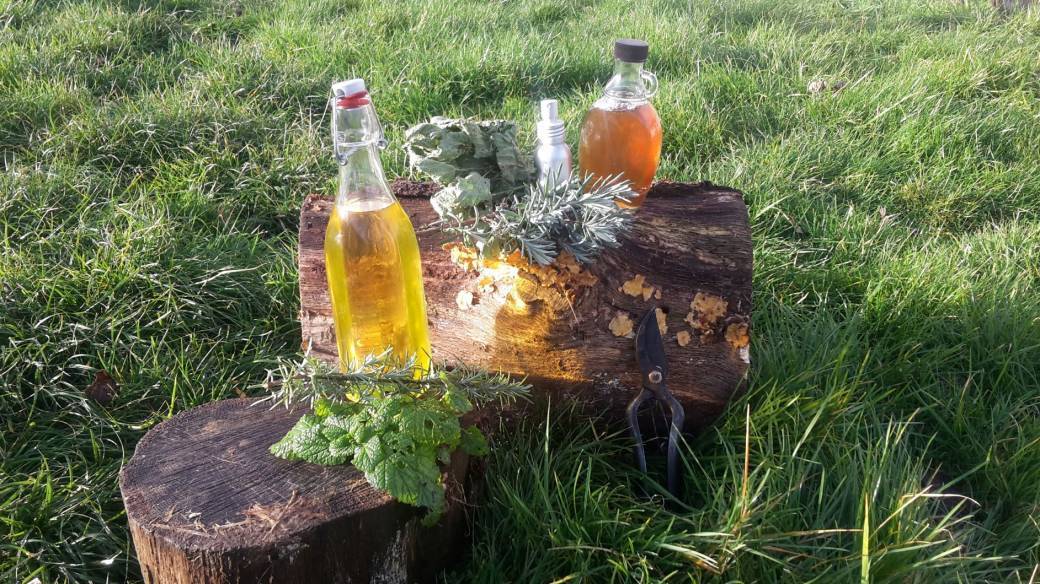 Atelier Vers le Zéro Déchet #3