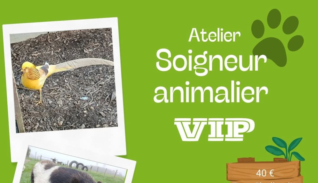 Atelier VIP petit soigneur animalier 