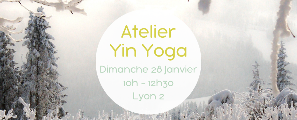 Atelier Yin Yoga : Accueillir l'hiver en soi