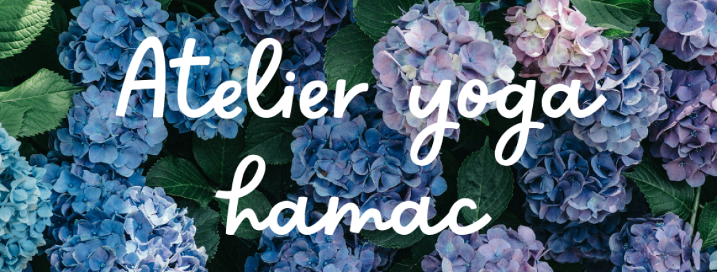 atelier yoga aérien