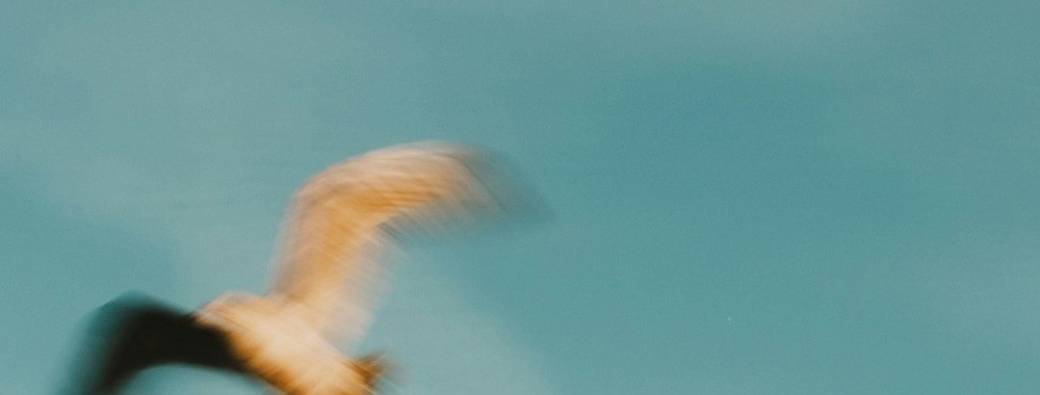 Atelier YOGA DES ELÉMENTS: L'AIR