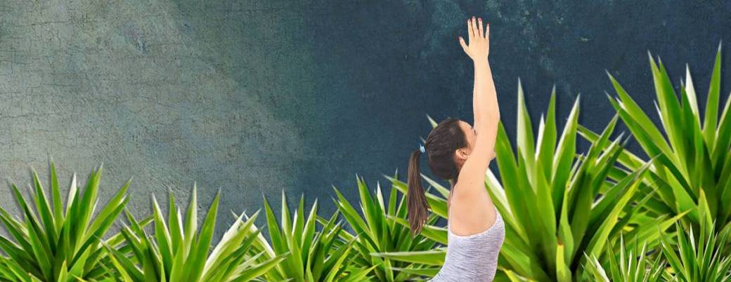 Atelier Yoga Vinyasa
