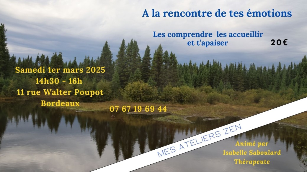 Atelier Zen : A la rencontre de tes émotions. Les comprendre et t'apaiser