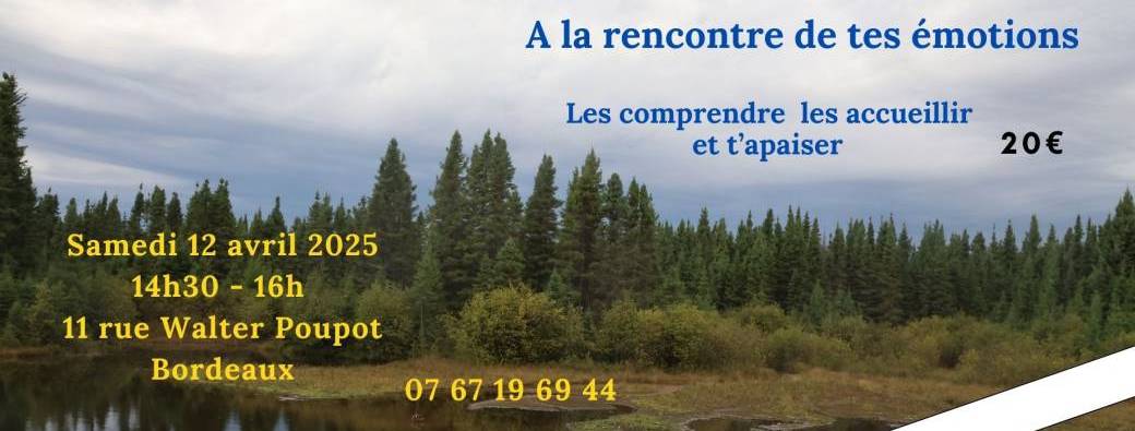 Atelier Zen : A la rencontre de tes émotions. Les comprendre et t'apaiser