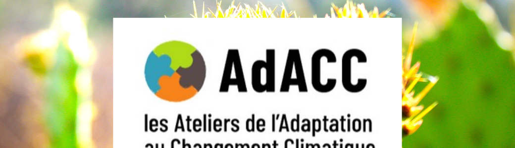 Ateliers de l'Adaptation au Changement Climatique (AdACC) - Caen