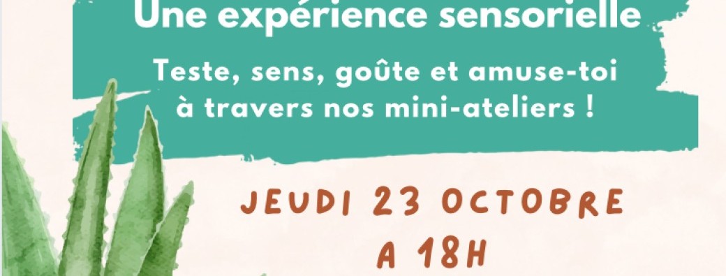 Ateliers découverte 