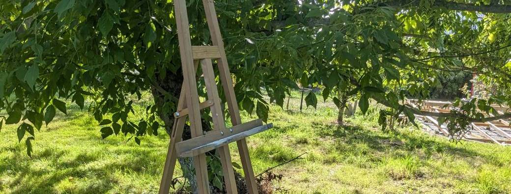 Ateliers d'été : peindre ses rêves