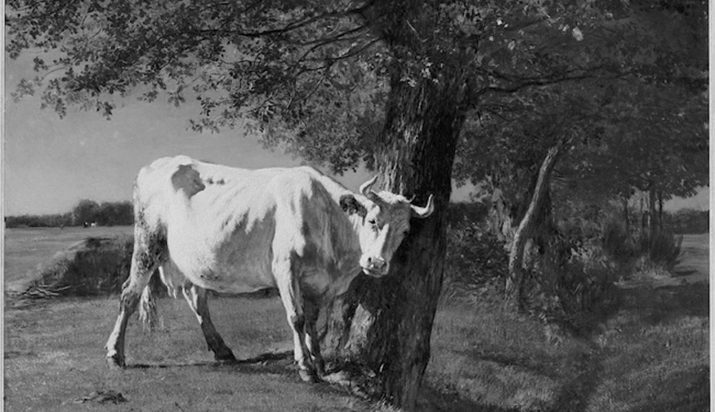 Ateliers d'initiation au dessin (15 ans et +) 