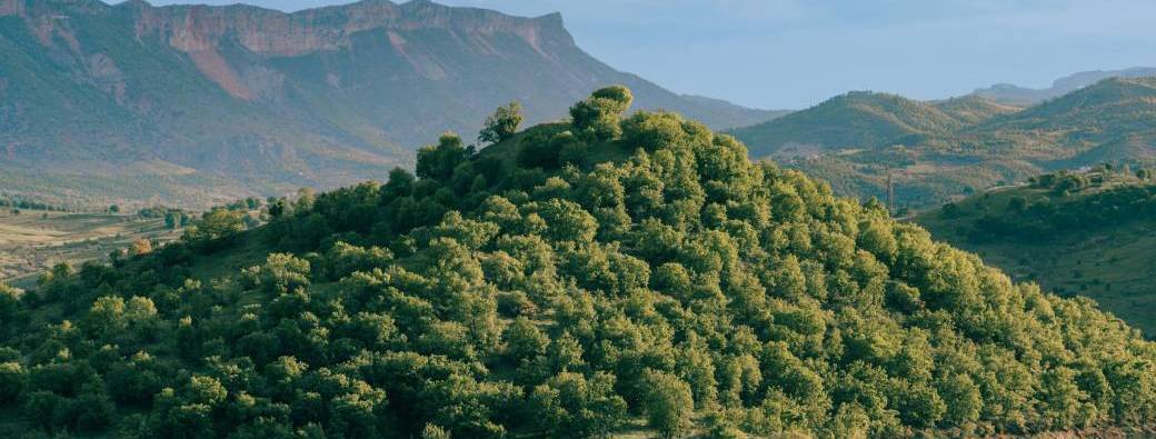 Ateliers Hypnose à Valence
