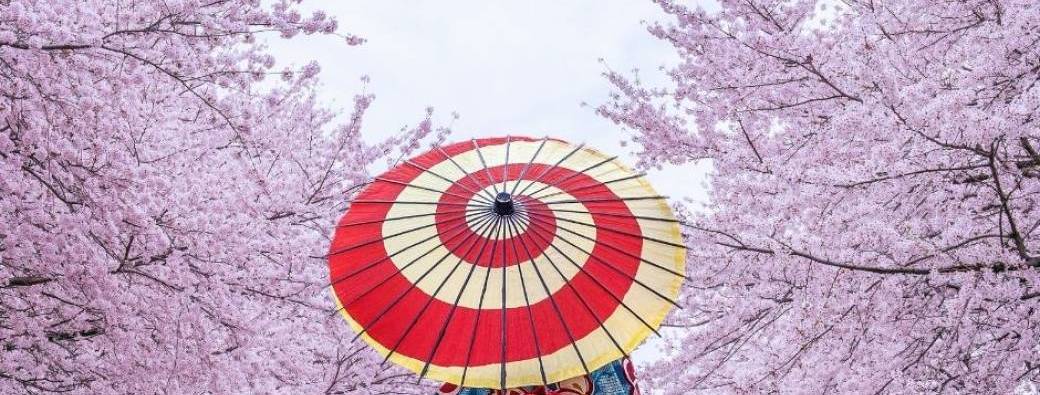 ATELIERS JAPON - HANAMI - Enfants & Adolecents