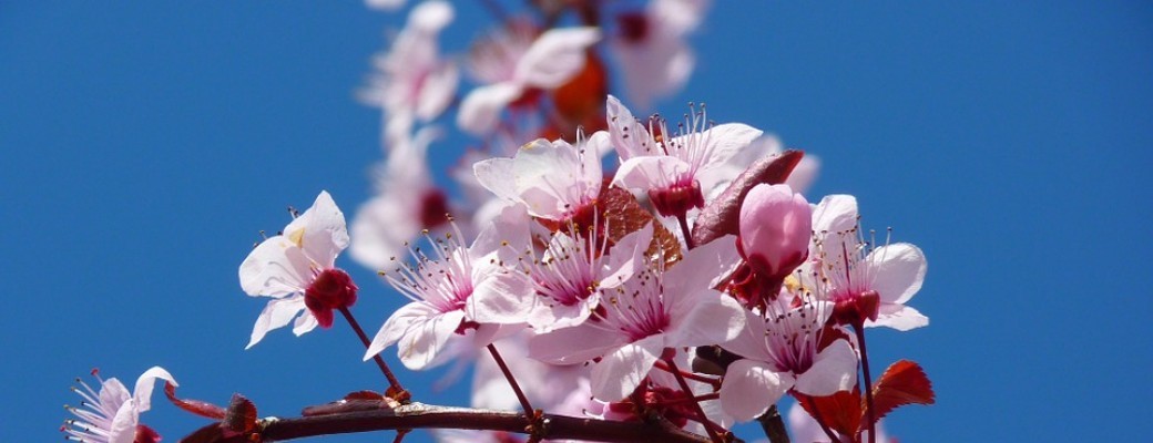 Ateliers Nature & Relaxation