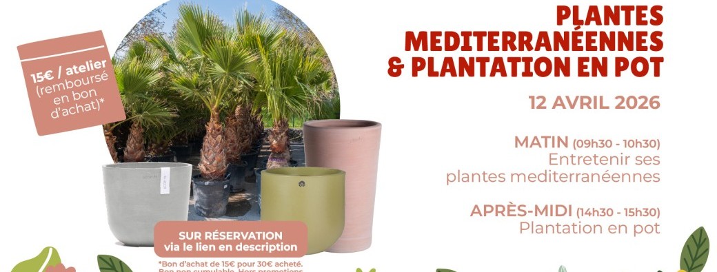 Ateliers plantes méditerranéennes & plantation en pot