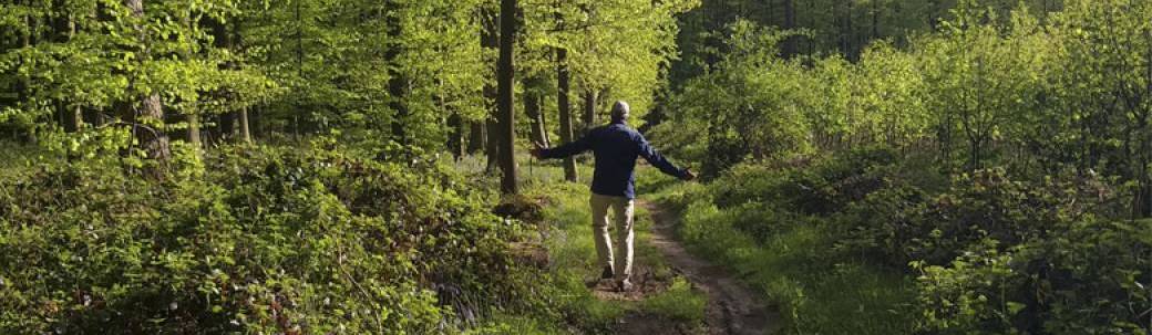 Ateliers : Shinrin Yoku (bains de forêts japonais) au fil des saisons