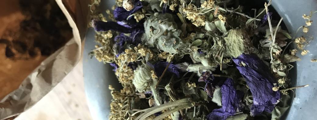 Ateliers d'herboristerie avec Cécile de Lierre Mauve Sureau (tisane, baume,..)