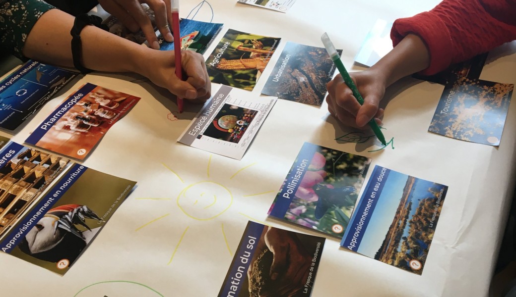 Ateliser "fresque de la biodiversité"