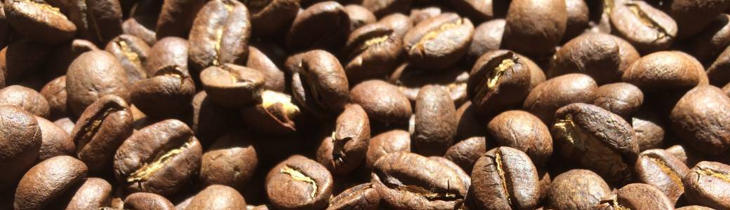 Atelier Initiation au Slow Coffee