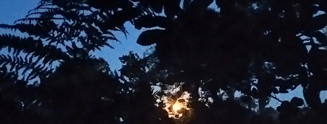 Au clair de Lune !