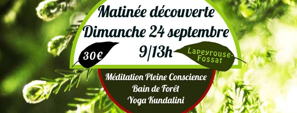 Atelier Kundalini Yoga, Bain de forêt, Méditation