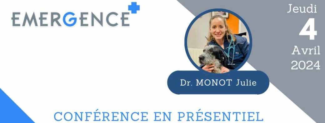 Au coeur de l'urgence : décryptage des métiers de l'urgence vétérinaire