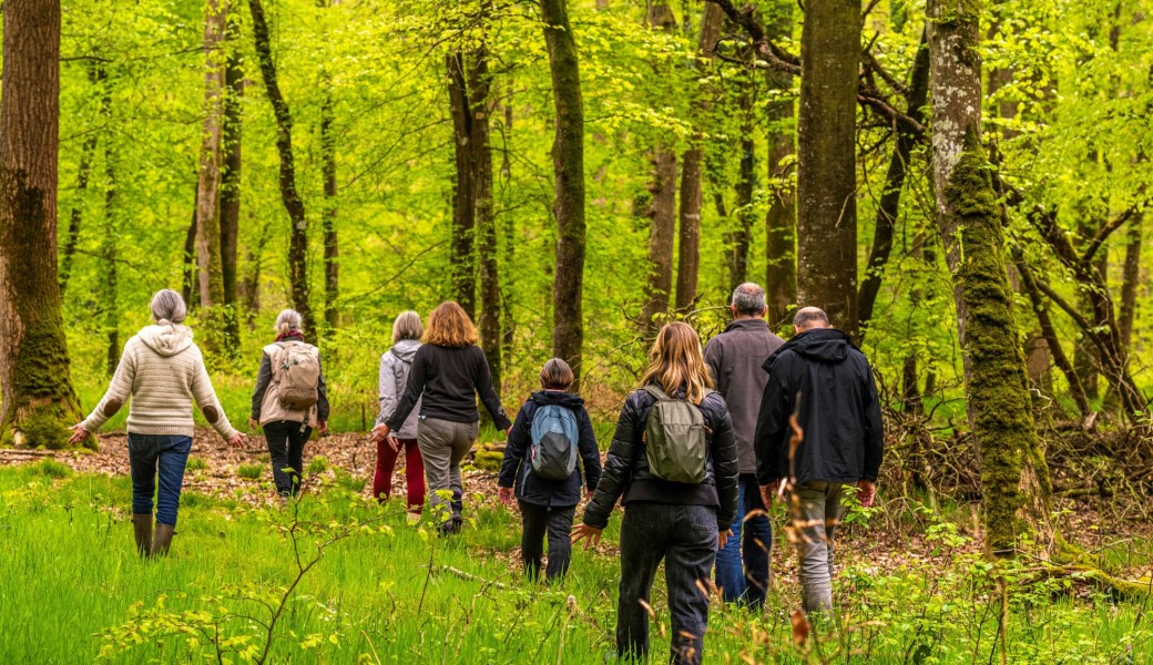 Au contact des 4 éléments avec les arbres - Sylvothérapie 