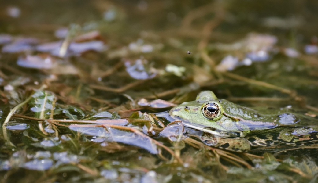Au fil de l'eau...