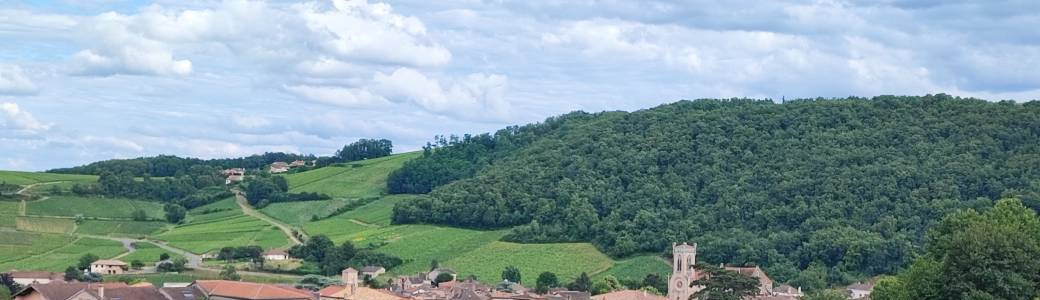 Les vini Balades :Fuissé