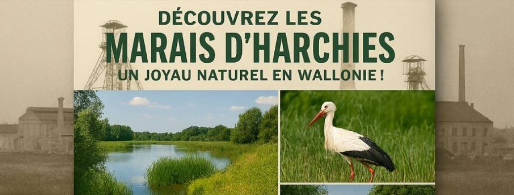Autour du vieux canal et des marais d'Harchies