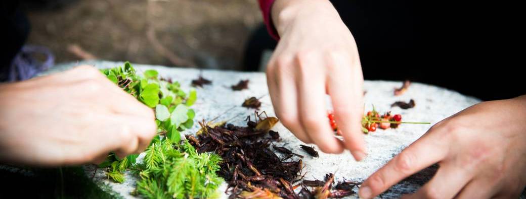 Aux petits mots les petits remèdes : apprenons à utiliser les plantes du coin !