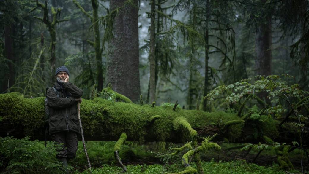 LE CHANT DES  FORÊTS