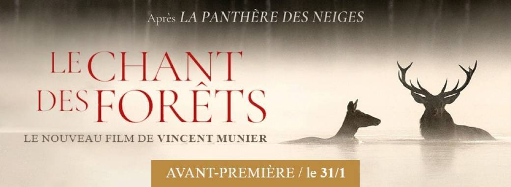 Avant première le chant des forêts Versailles Stavelot