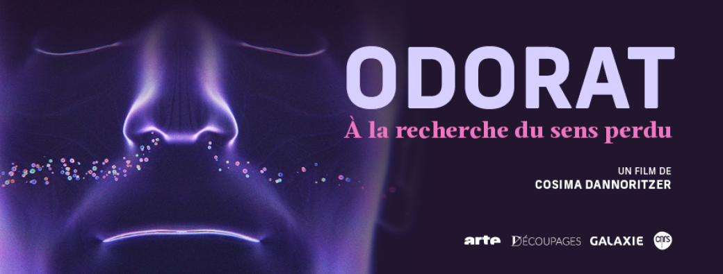 Avant première - Odorat, à la recherche du sens perdu