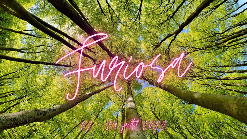 ↠ Ayahuasquero ↞ par Furiosa
