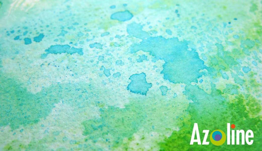 Atelier VS Azoline - Zoziaux rigolos