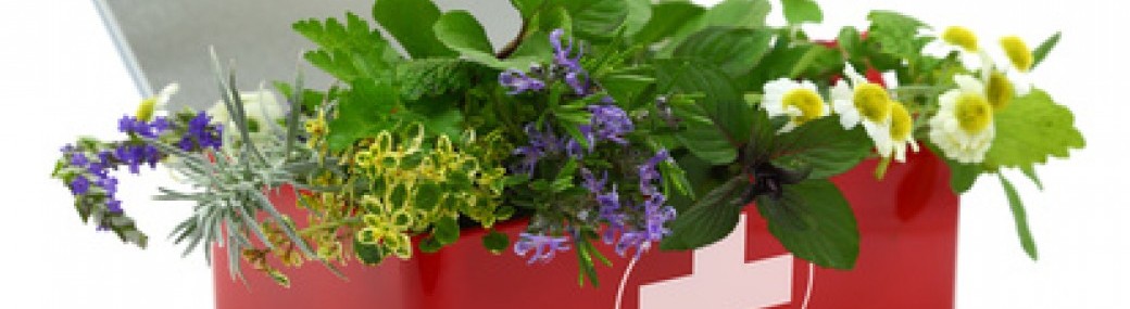 L'aromathérapie au quotidien (Lyon centre) L'aromathérapie au quotidien (Lyon centre)