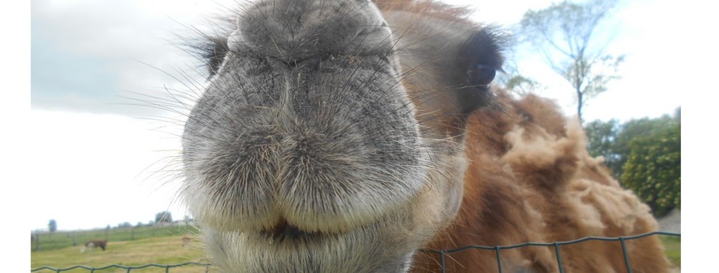 mini-soigneur d 'hiver ( enfant de 5 ans à 8 ans )