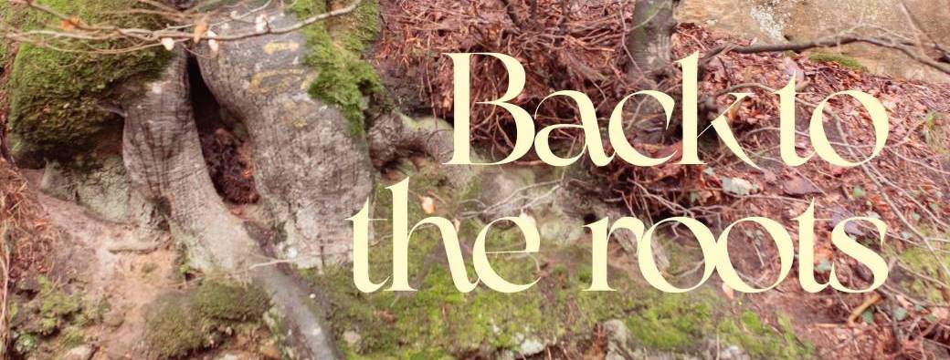 Back to the roots - One day retreat at the farm