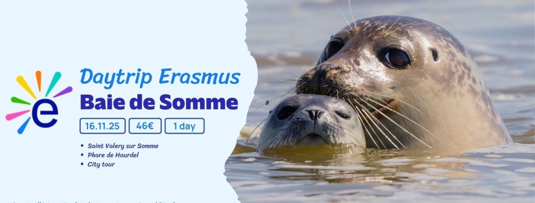 BAI161125 | Journée Erasmus en Baie de Somme