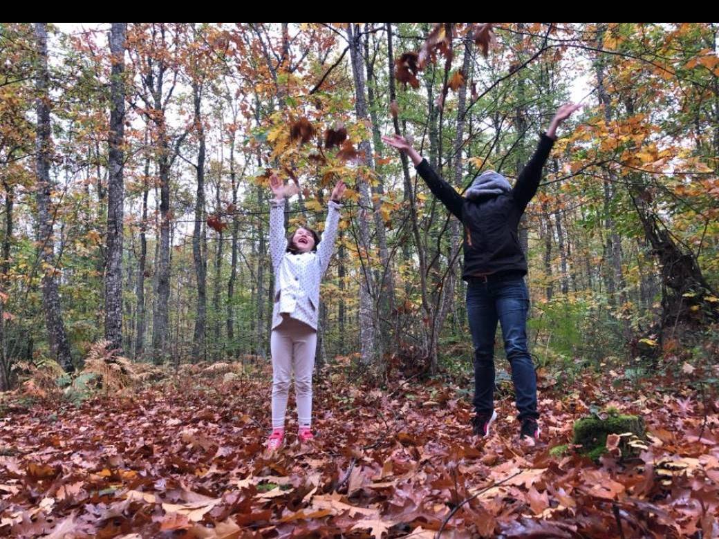 Bain de forêt [1 adulte + 1 enfant] Partager une expérience unique !