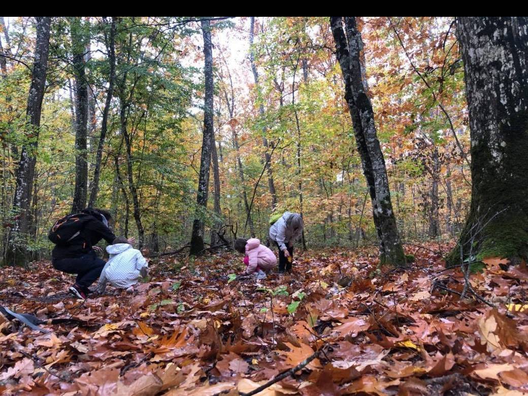 Bain de forêt [1 adulte + 1 enfant] Partager une expérience unique !