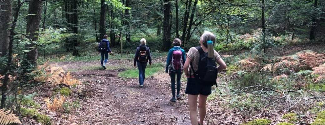Bain de forêt (3 heures) en groupe 